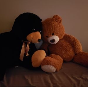 Meet your Posher, Danny